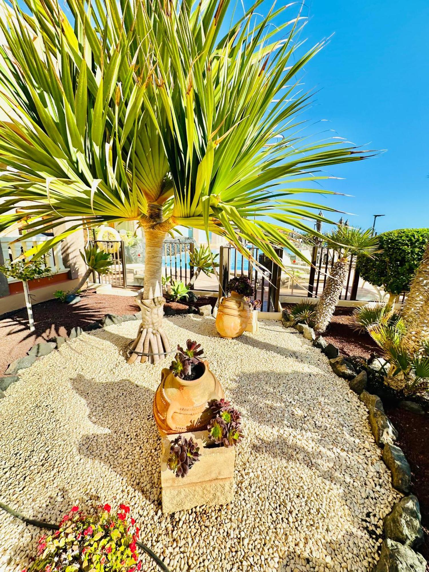 El Nautico Apartment سان ميغيل ذي أبونا المظهر الخارجي الصورة