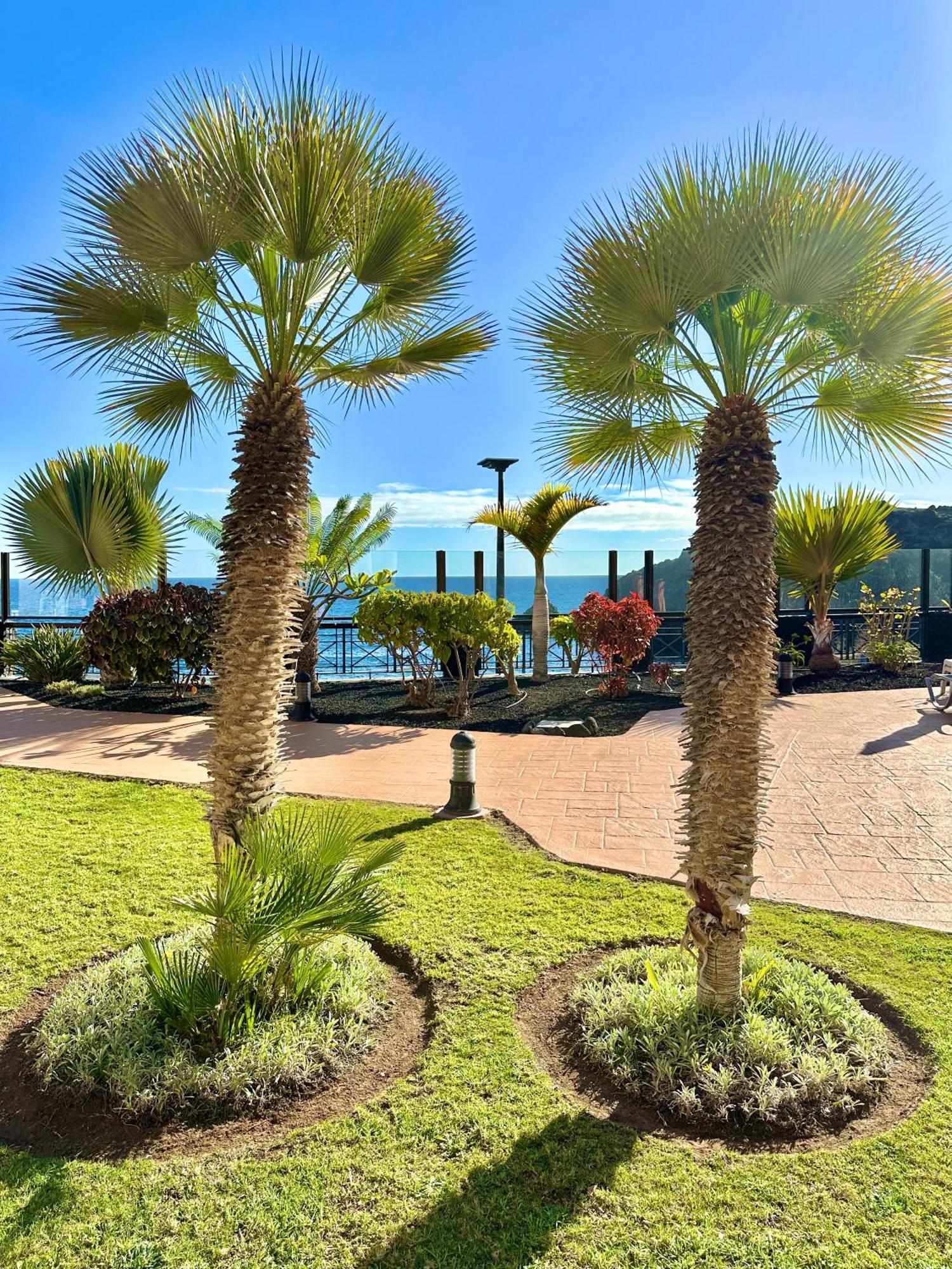 El Nautico Apartment سان ميغيل ذي أبونا المظهر الخارجي الصورة