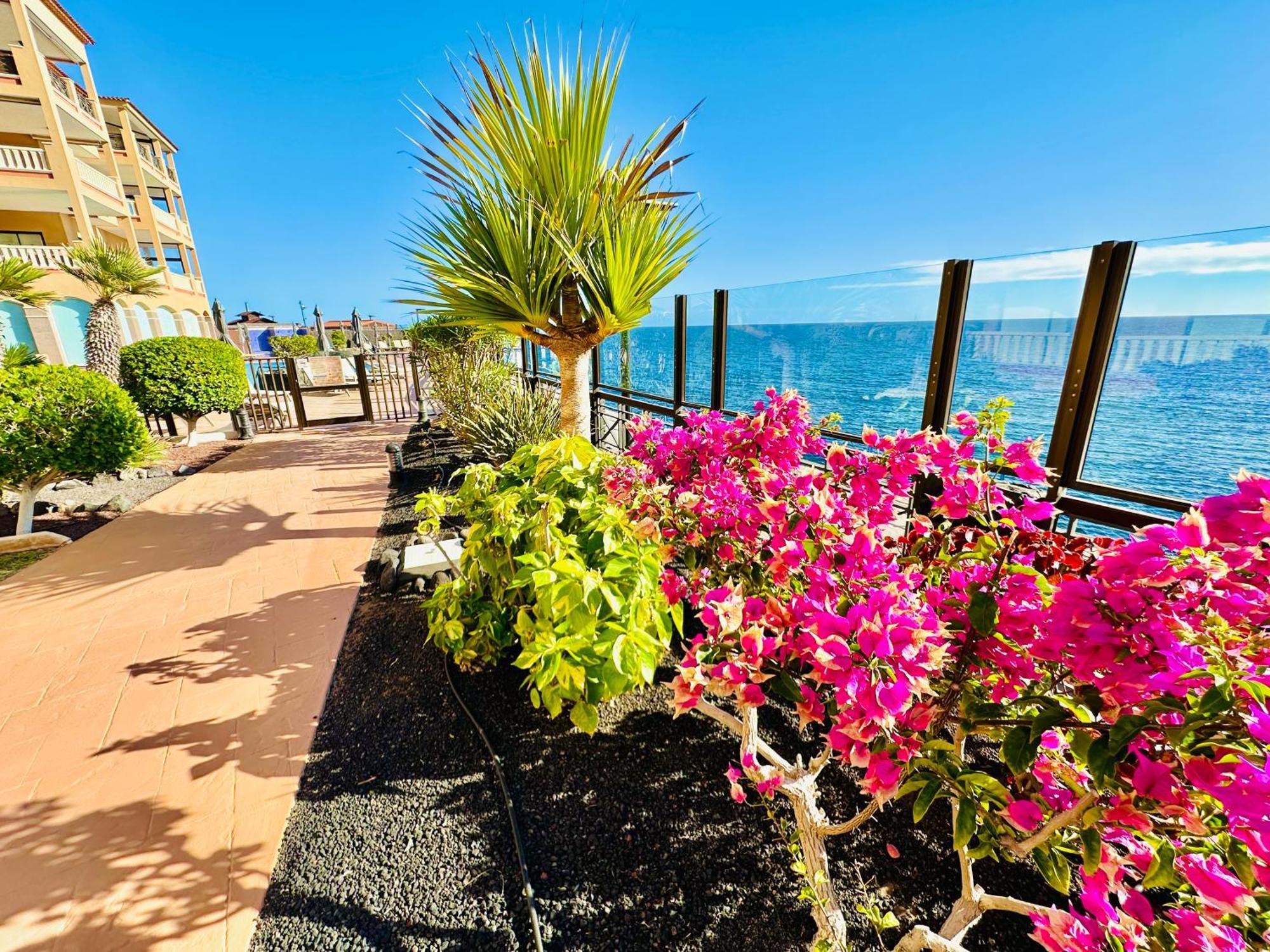 El Nautico Apartment سان ميغيل ذي أبونا المظهر الخارجي الصورة